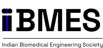 ibmes logo